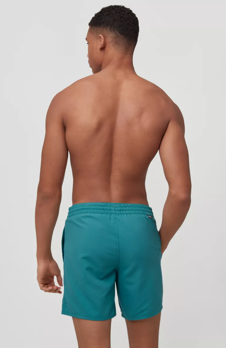 Pánske plavecké šortky CALI