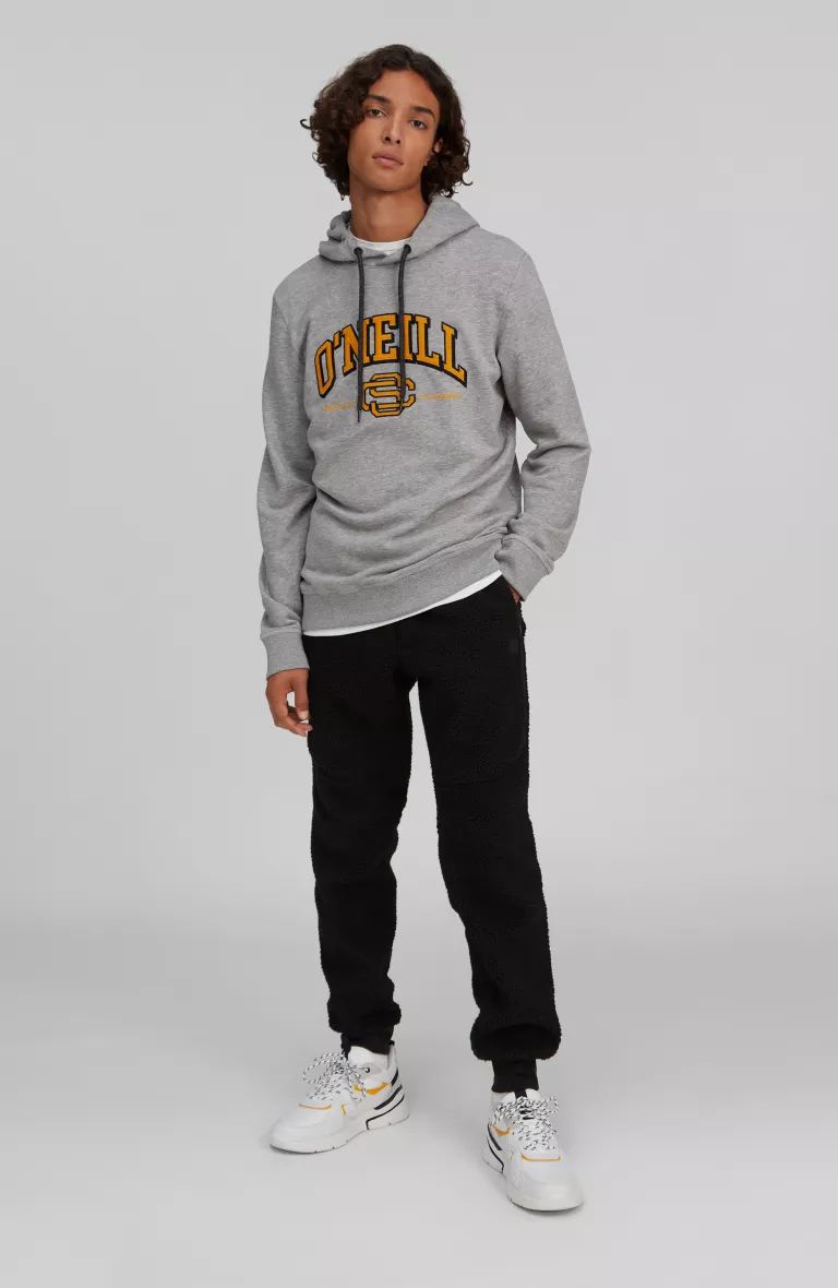 Pánska mikina s kapucňou