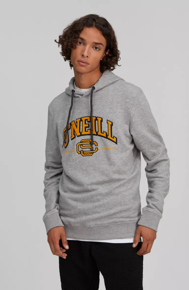 Pánska mikina s kapucňou