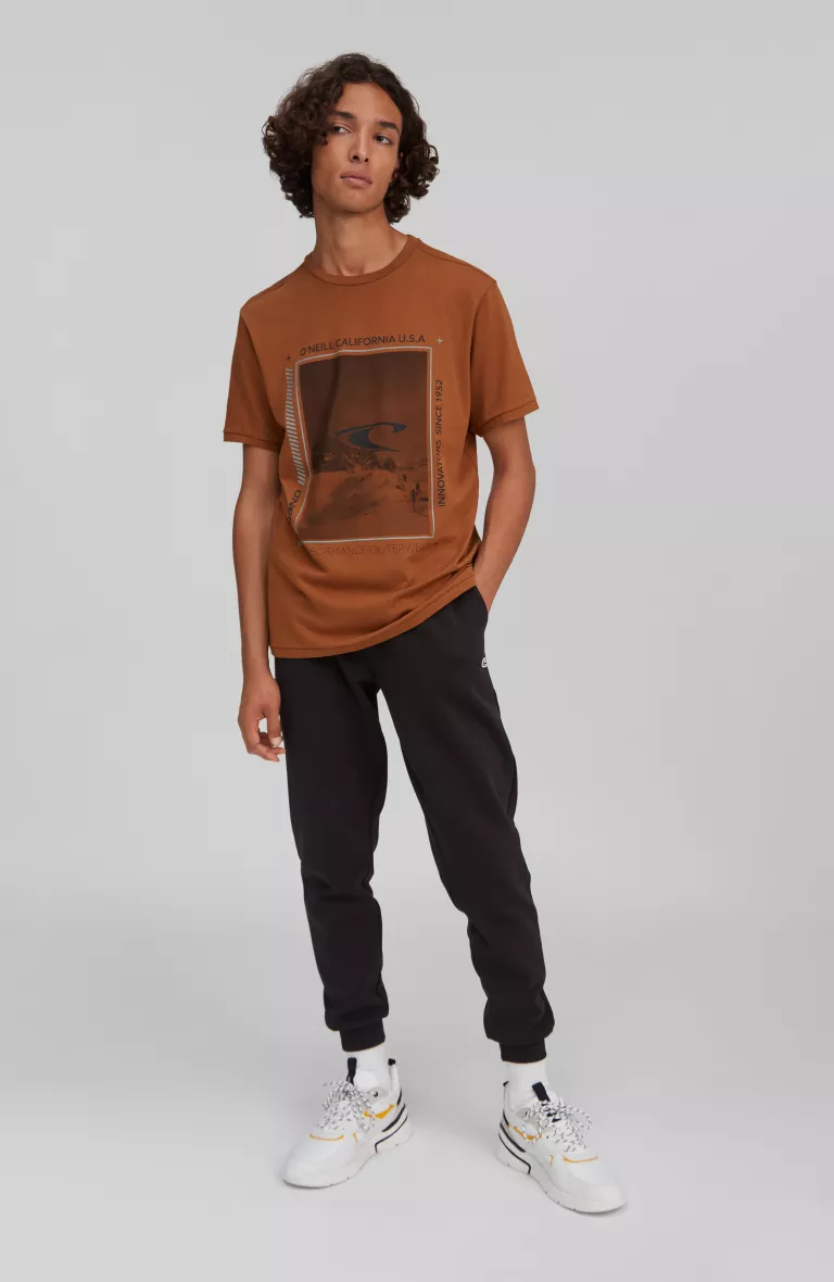 Mountain Frame Ss T-Shirt