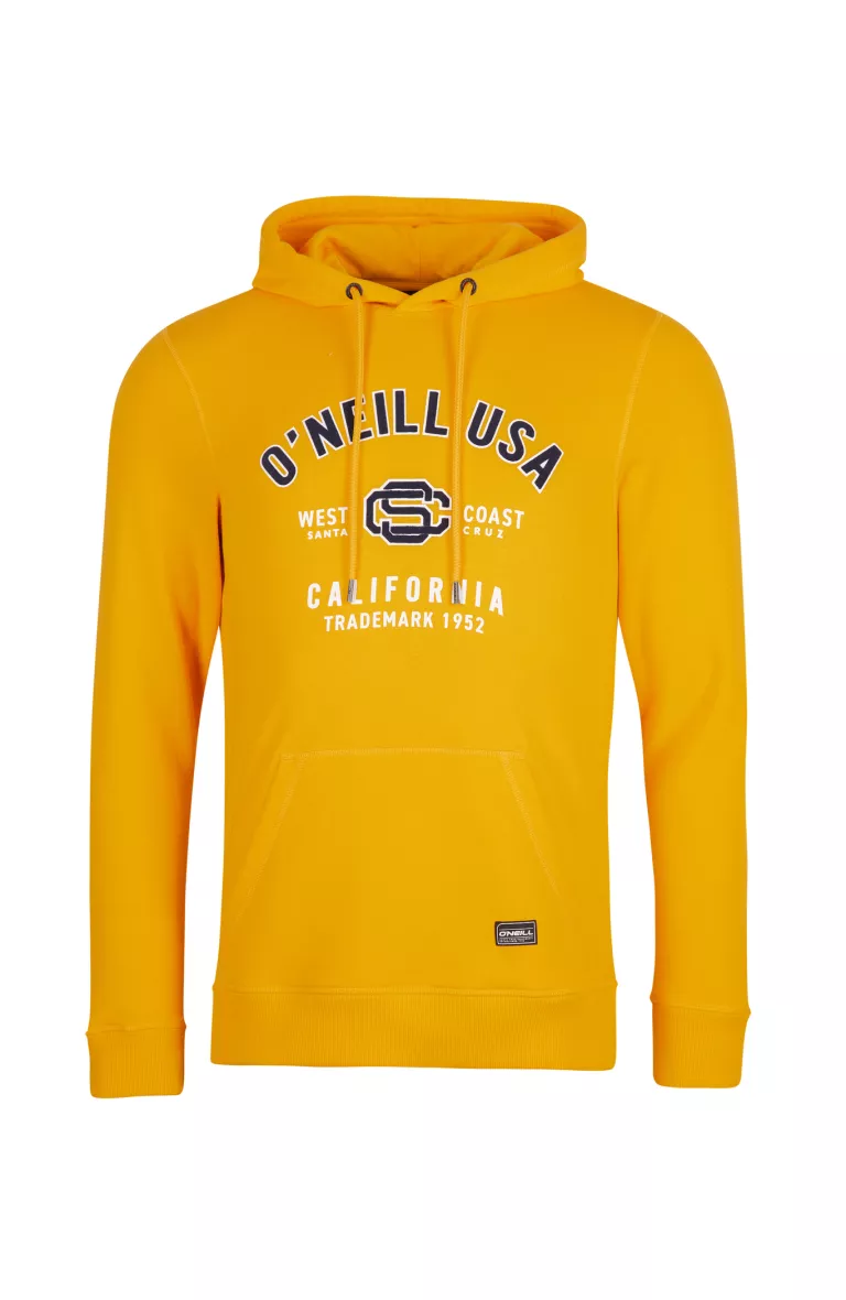 Pánska mikina s kapucňou