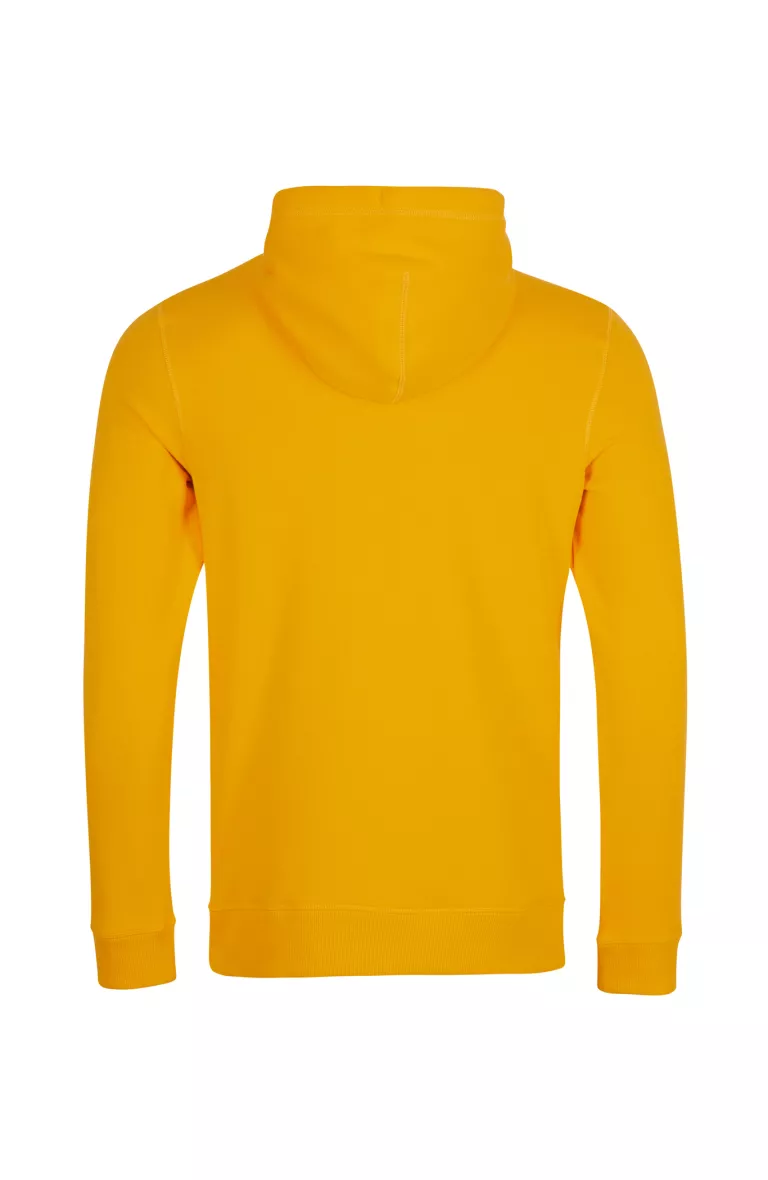 Pánska mikina s kapucňou