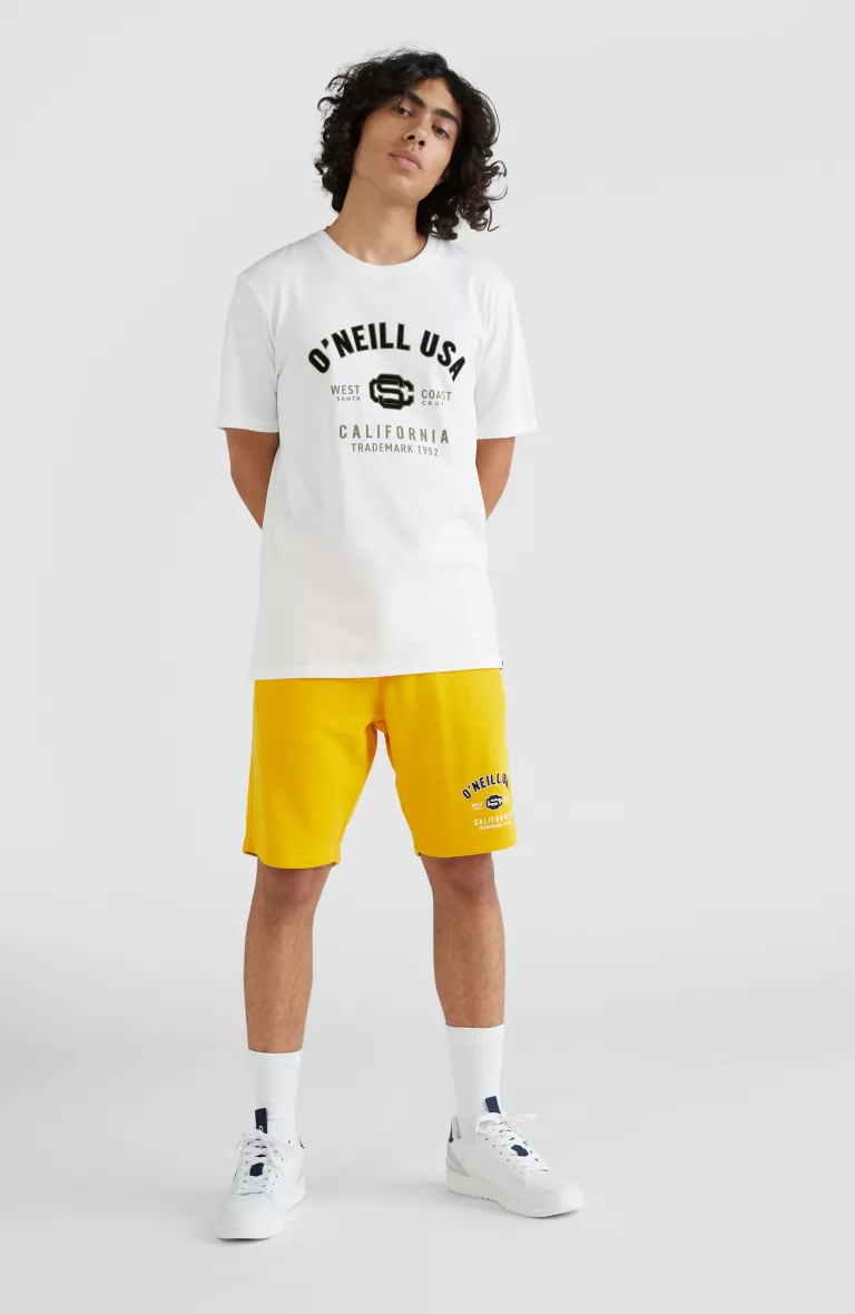 Pánske tričko s krátkym rukávom