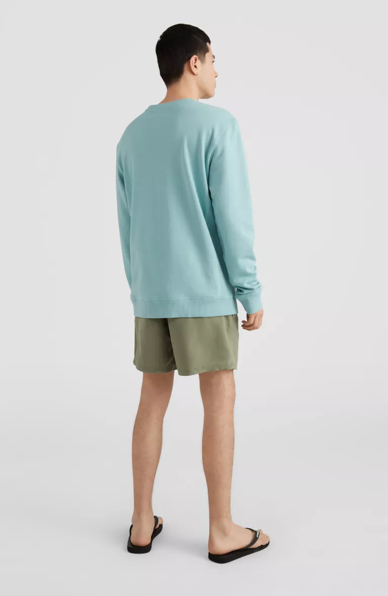 STATE CREW SWEATSHIRT