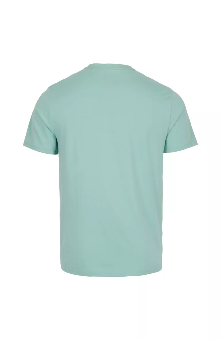 STATE CHEST ARTWORK T-SHIRT