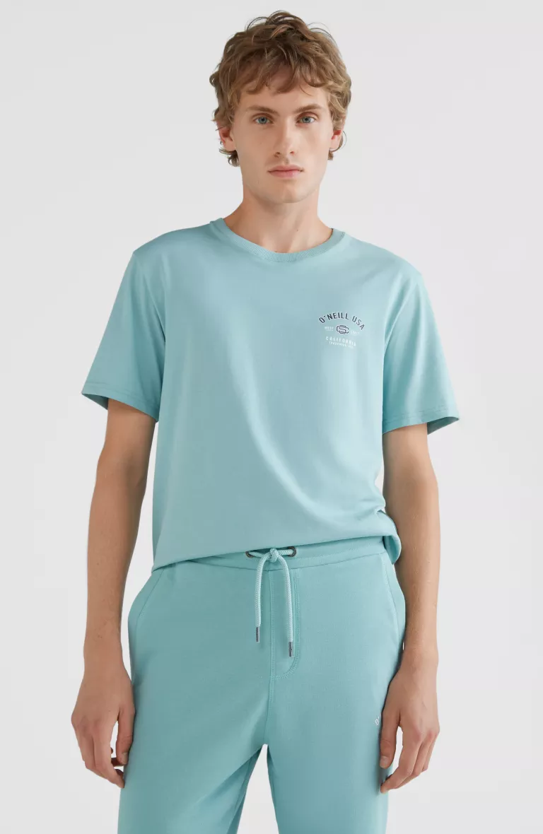 STATE CHEST ARTWORK T-SHIRT