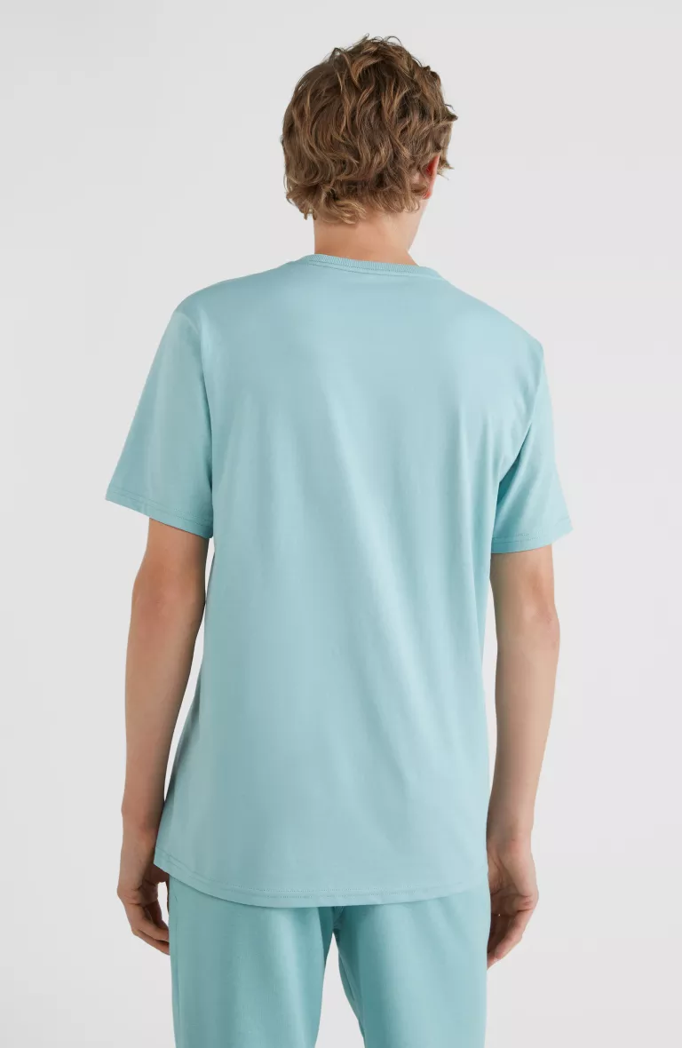 STATE CHEST ARTWORK T-SHIRT