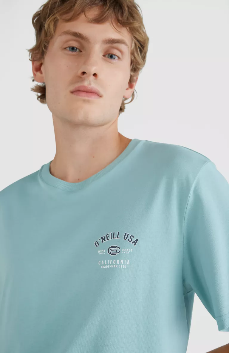 STATE CHEST ARTWORK T-SHIRT