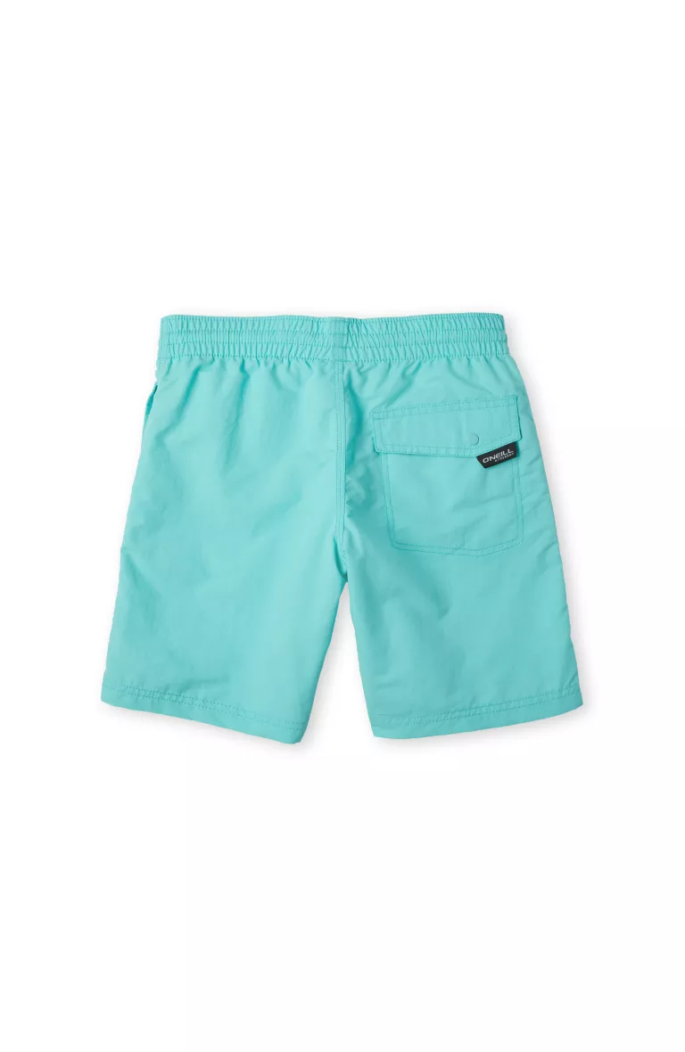 Chlapčenské plavky Vert