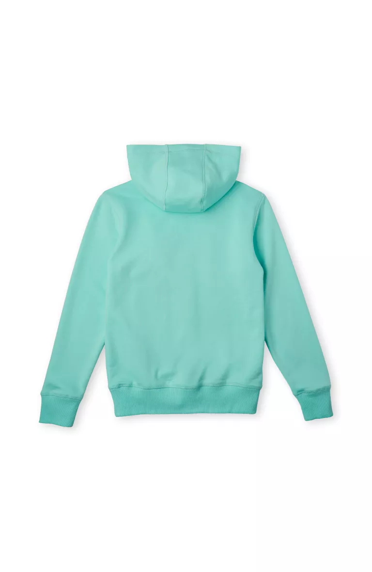 SURFBOARD HOODIE