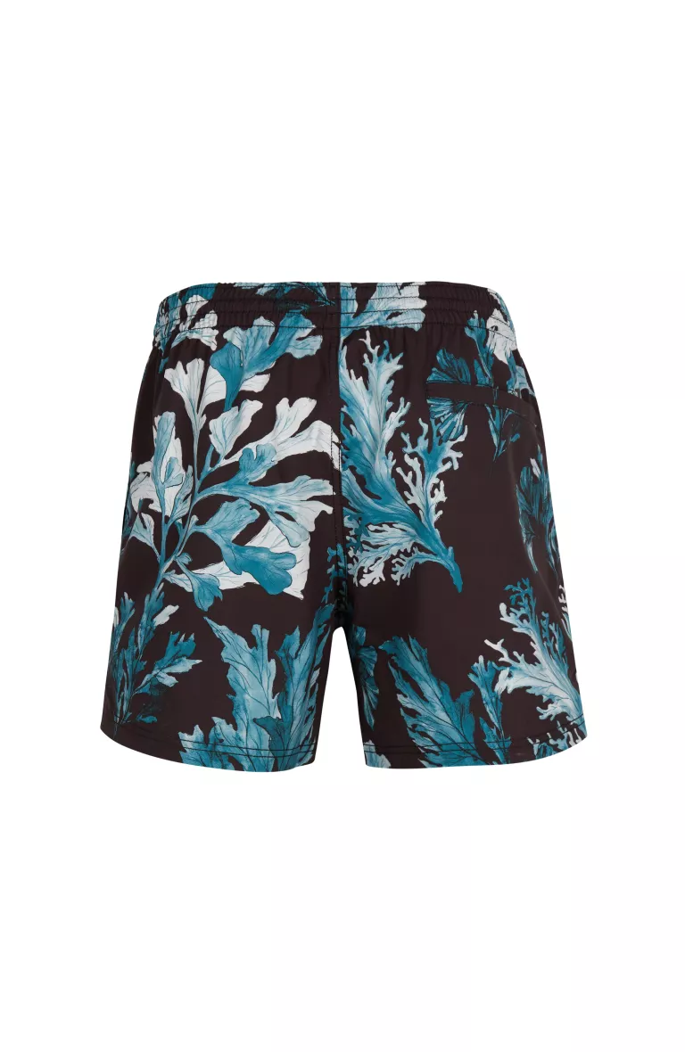 Pánske plavecké šortky 15