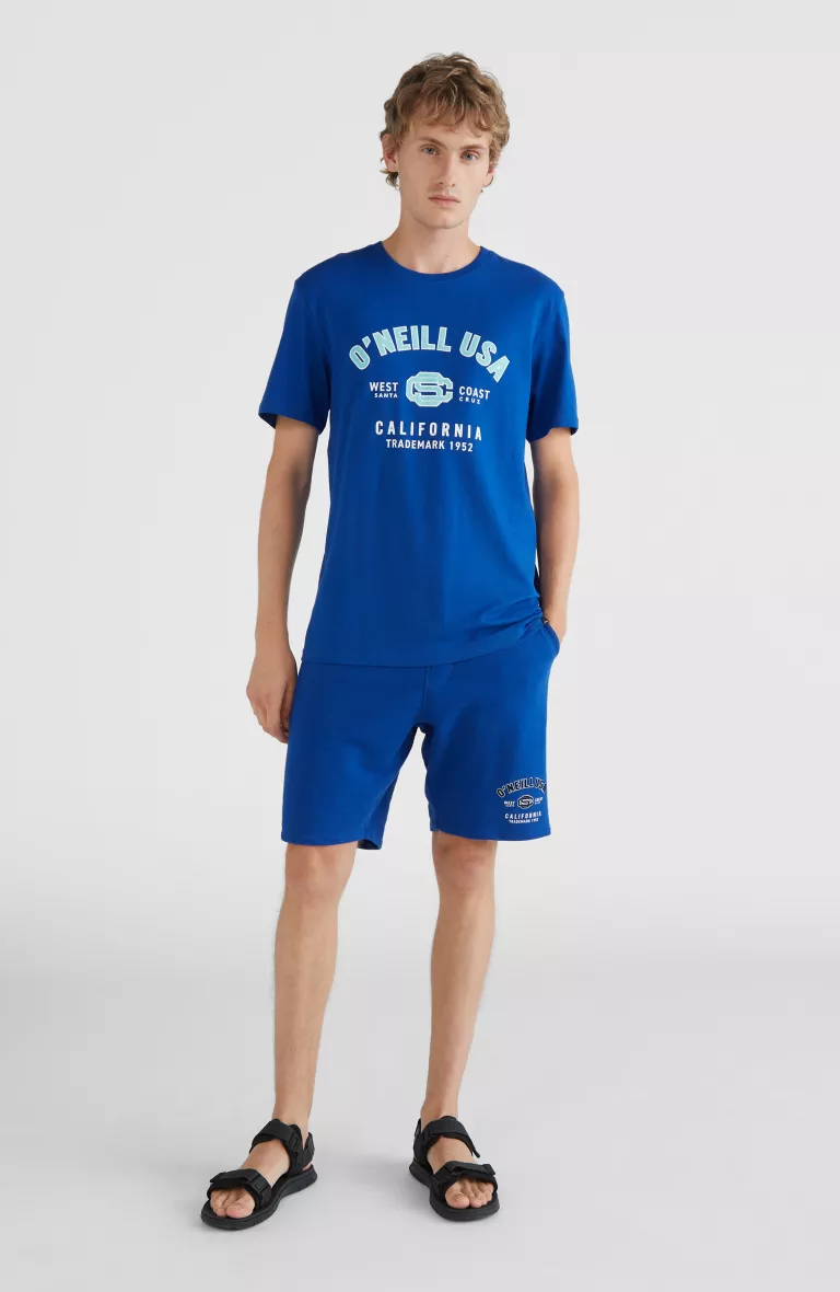 Pánske teplákové kraťasy