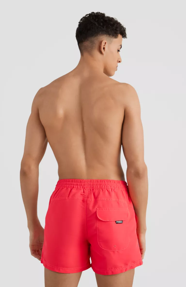 Pánske plavecké kraťasy 14''