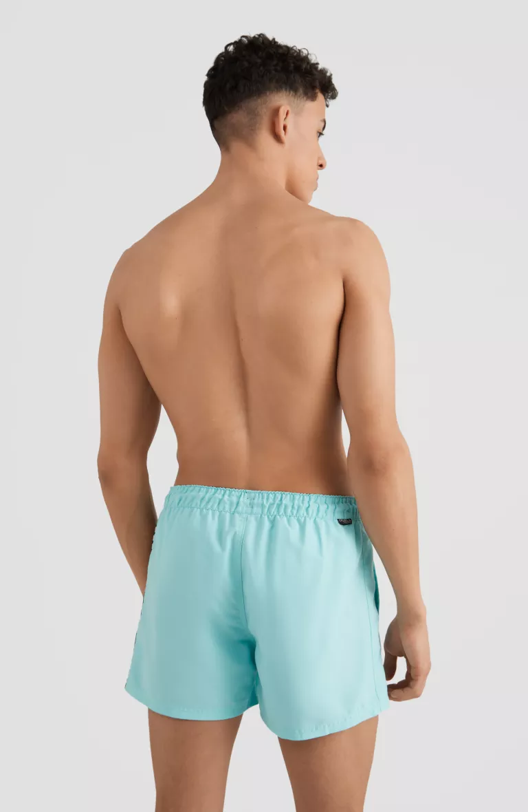 Pánske plavecké kraťasy CALI 14''