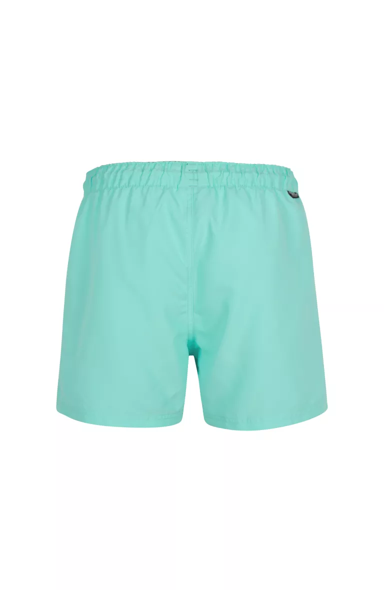 Pánske plavecké kraťasy CALI 14''