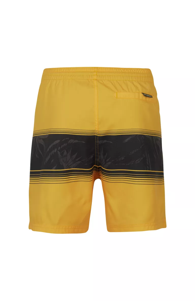 Pánske plavecké šortky