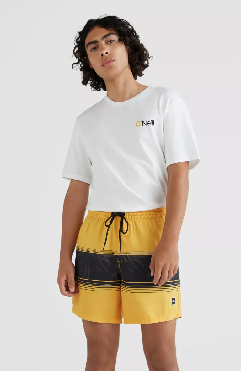 Pánske plavecké šortky