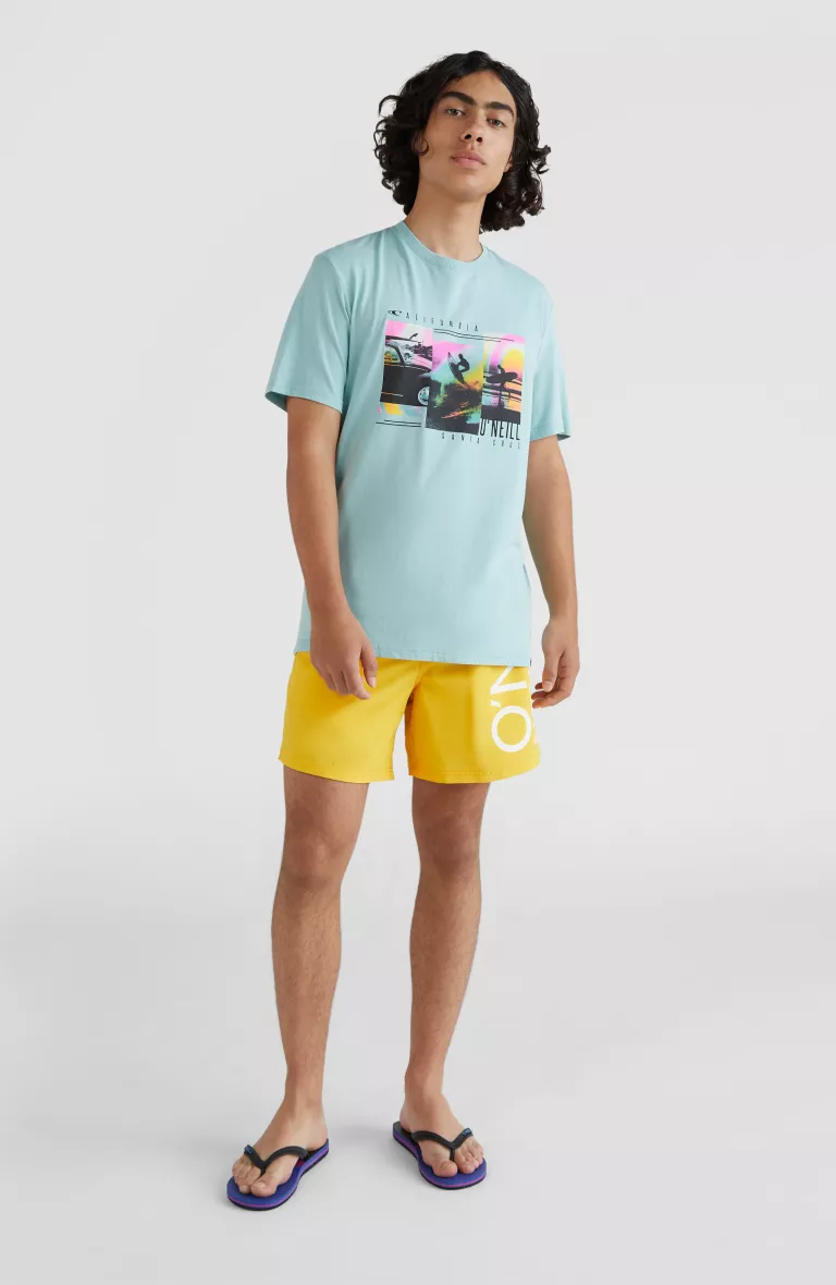 Plavecké šortky original  CALI 16'