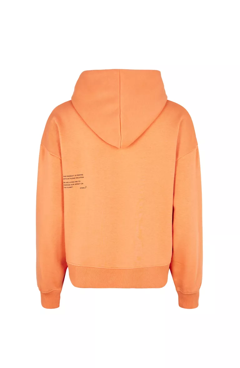 FUTURE SURF SOCIETY HOODIE