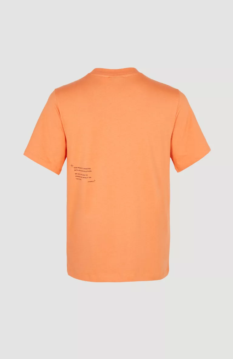 FUTURE SURF SOCIETY T-SHIRT