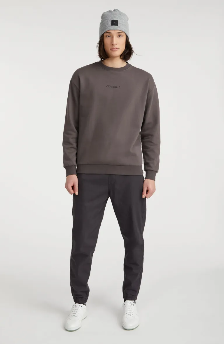 FUTURE SURF SOCIETY SWEATSHIRT