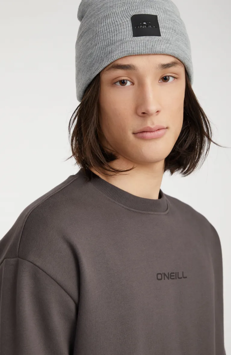 FUTURE SURF SOCIETY SWEATSHIRT