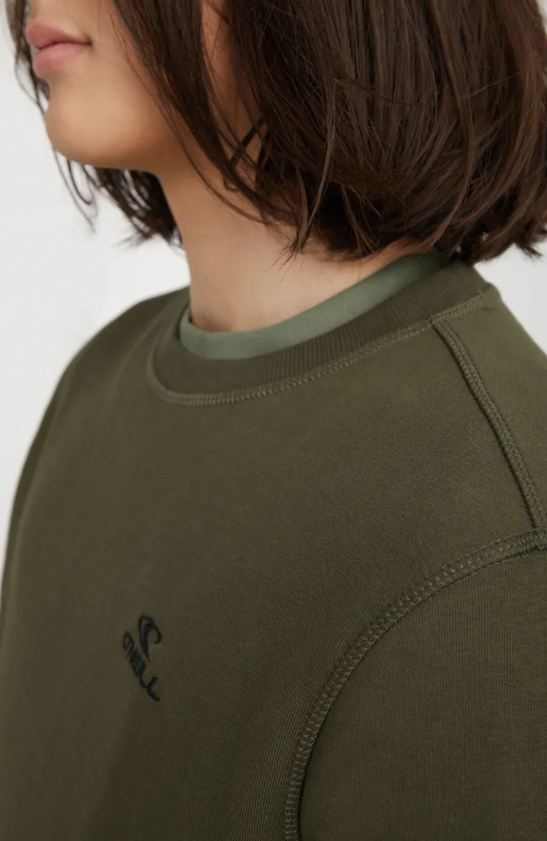 O`NEILL SMALL LOGO CREW
