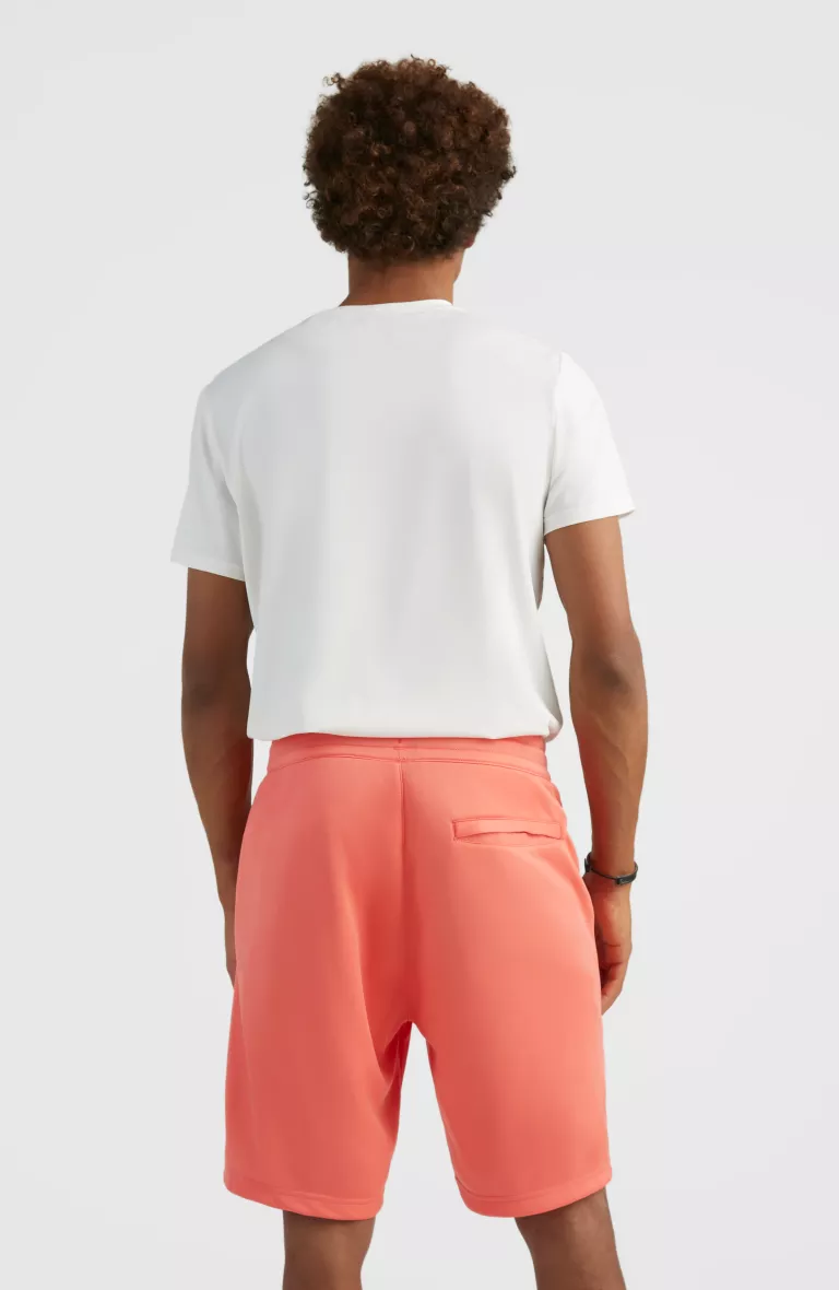 Pánske teplákové kraťasy