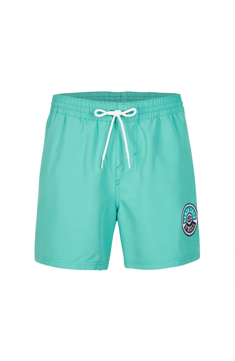 Pánske plavecké šortky