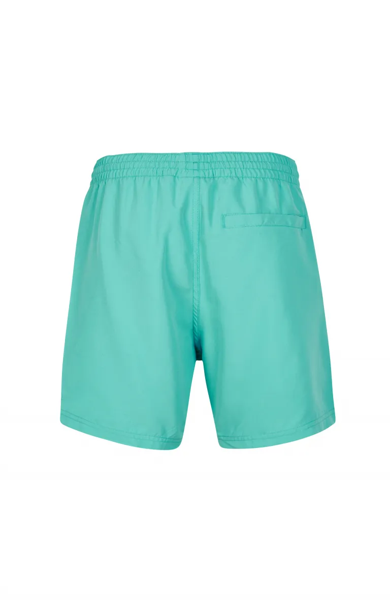 Pánske plavecké šortky