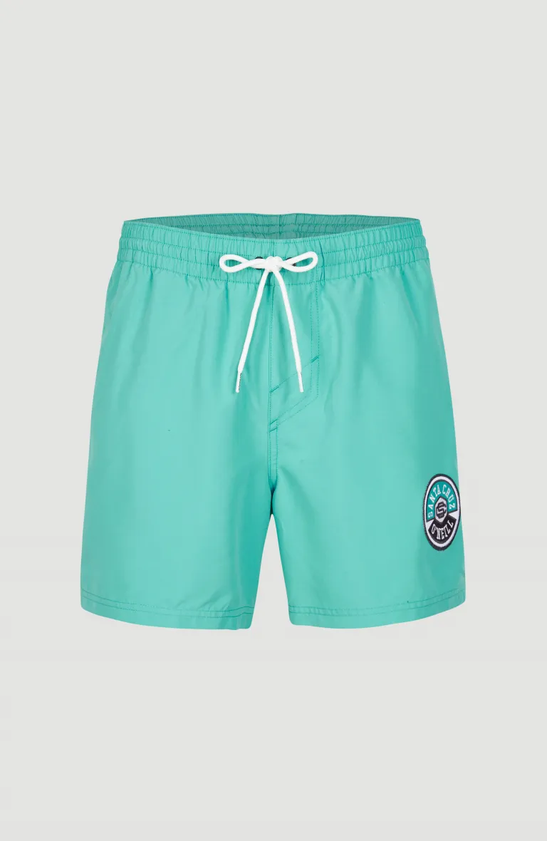 Pánske plavecké šortky