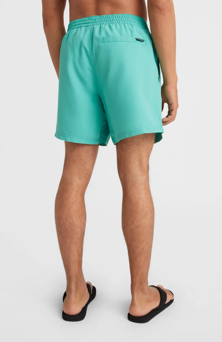 Pánske plavecké šortky