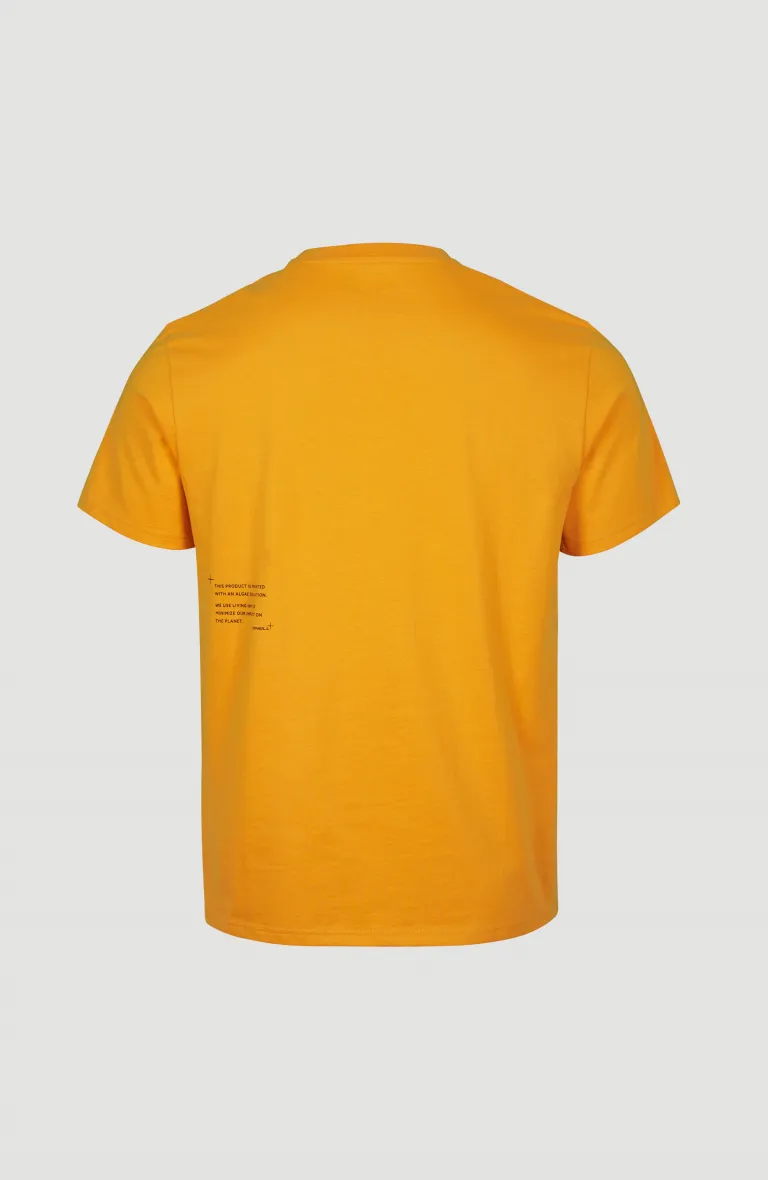 Pánske tričko s krátkym rukávom