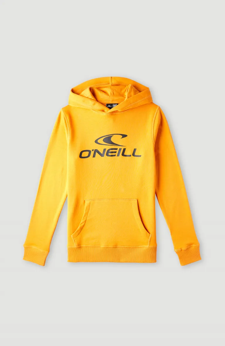 Pánska mikina s kapucňou