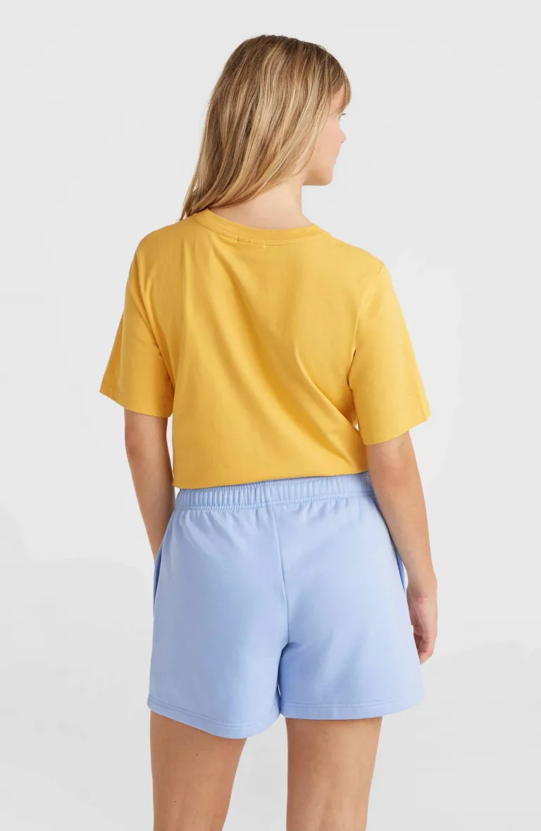 FUTURE SURF SOCIETY SHORTS