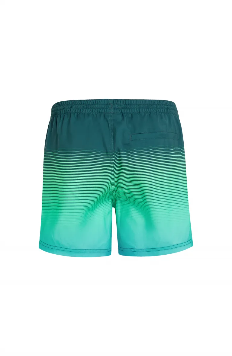 Pánske plavky CALI GRADIENT 15