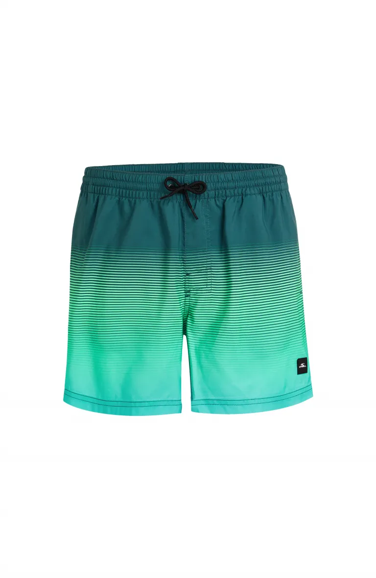 Pánske plavky CALI GRADIENT 15