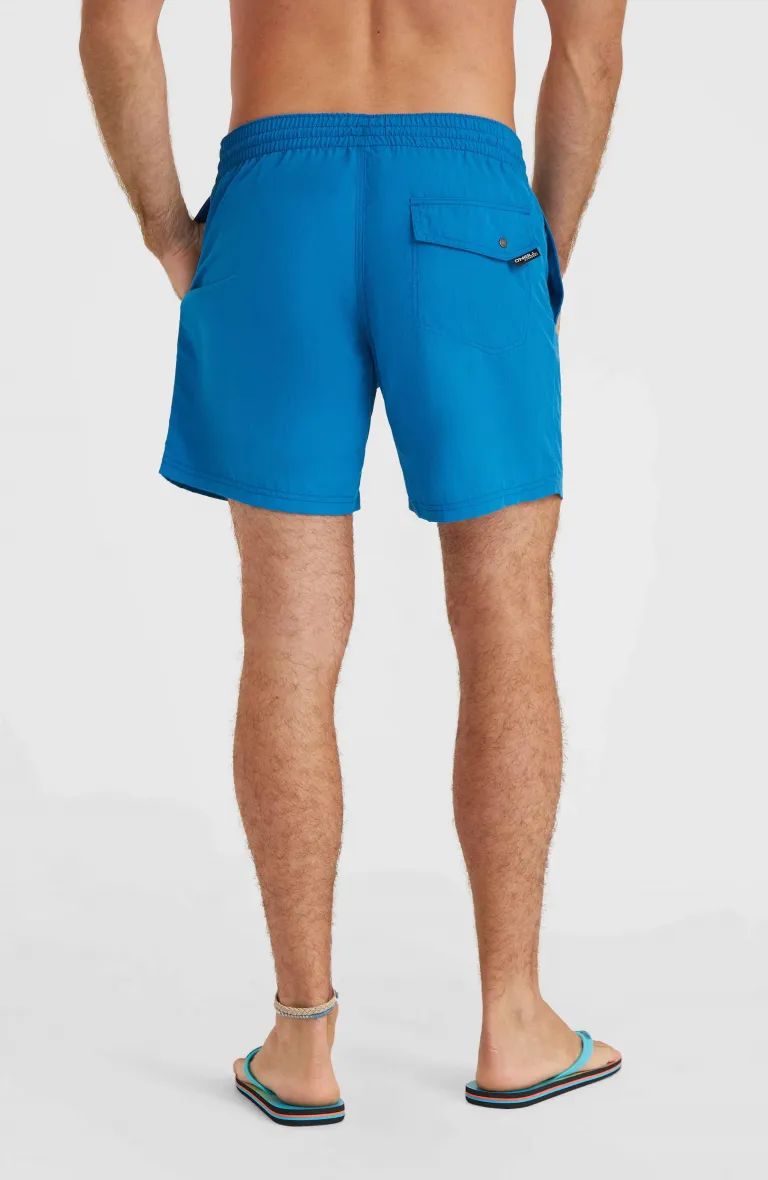 Pánske plavky VERT 16