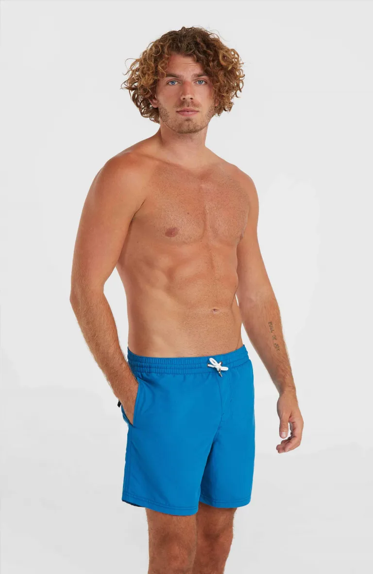 Pánske plavky VERT 16