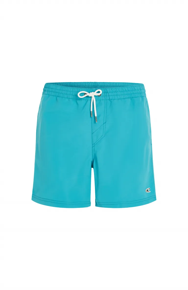 Pánske plavky VERT 16