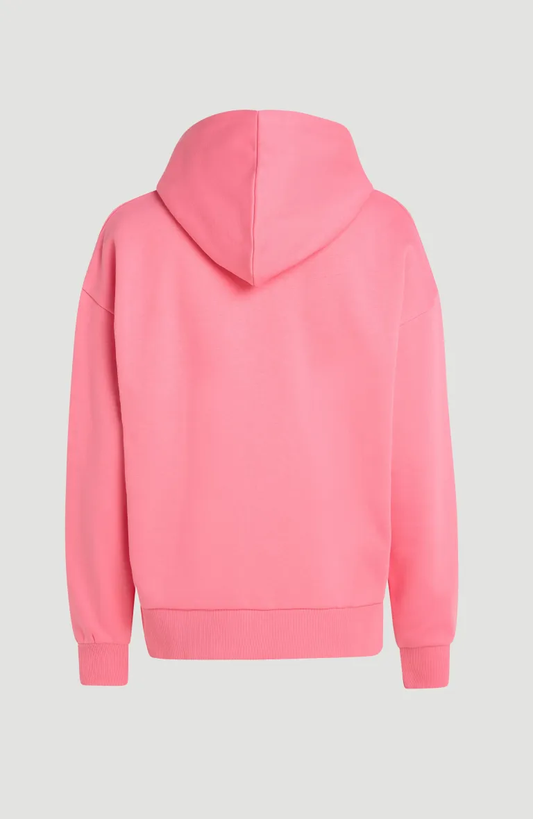 FUTURE SURF SOCIETY HOODIE