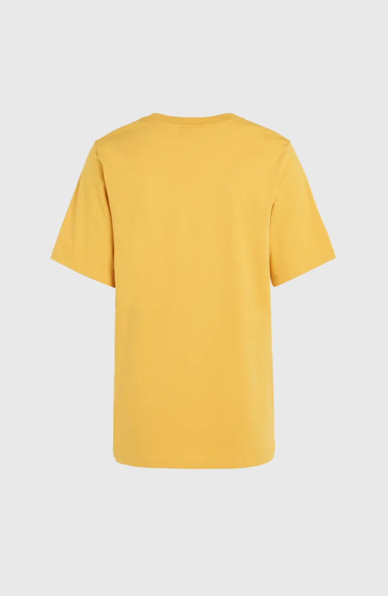 FUTURE SURF SOCIETY REGULAR T-