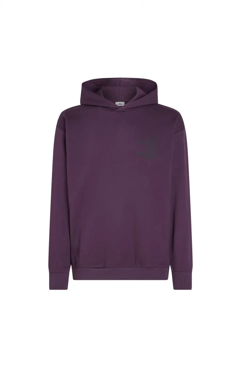 MIKINA FUTURE SURF SOCIETY