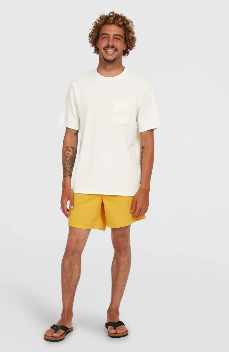 ONEILL VERT 16 SWIMSHORTS