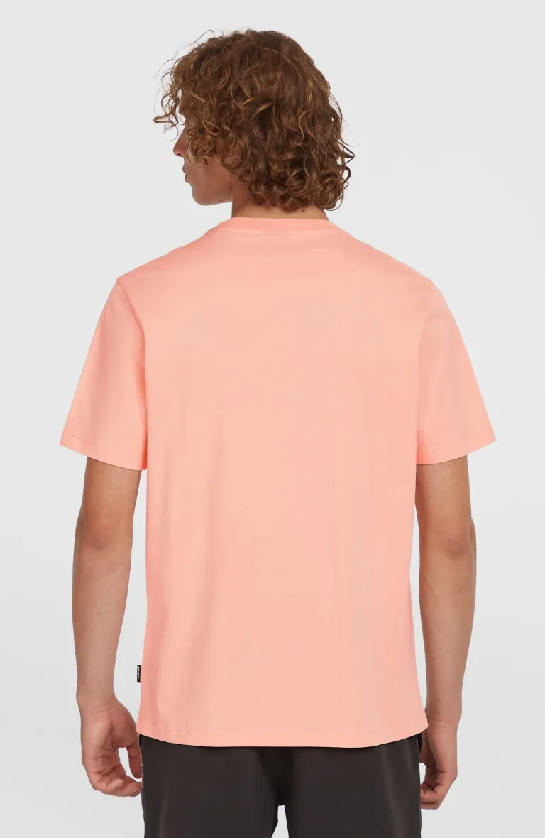 Tričko  SMALL LOGO T-SHIRT