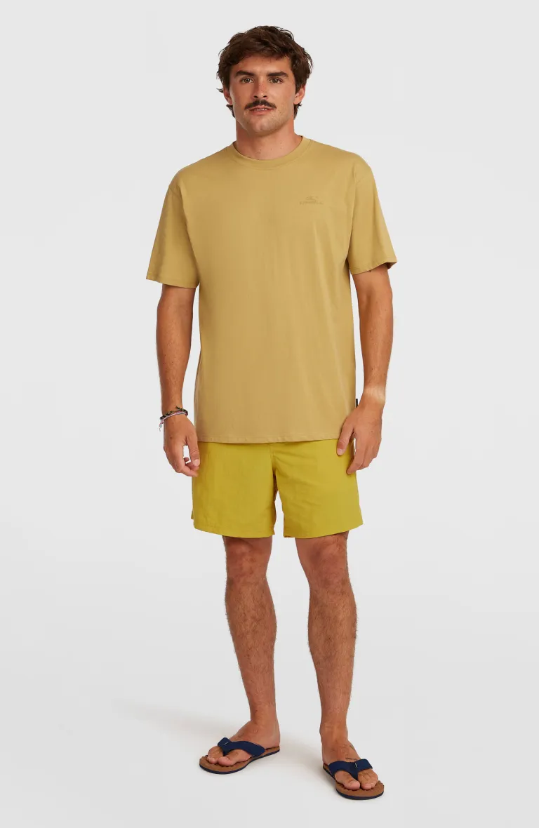 Pánske plavky Vert 16