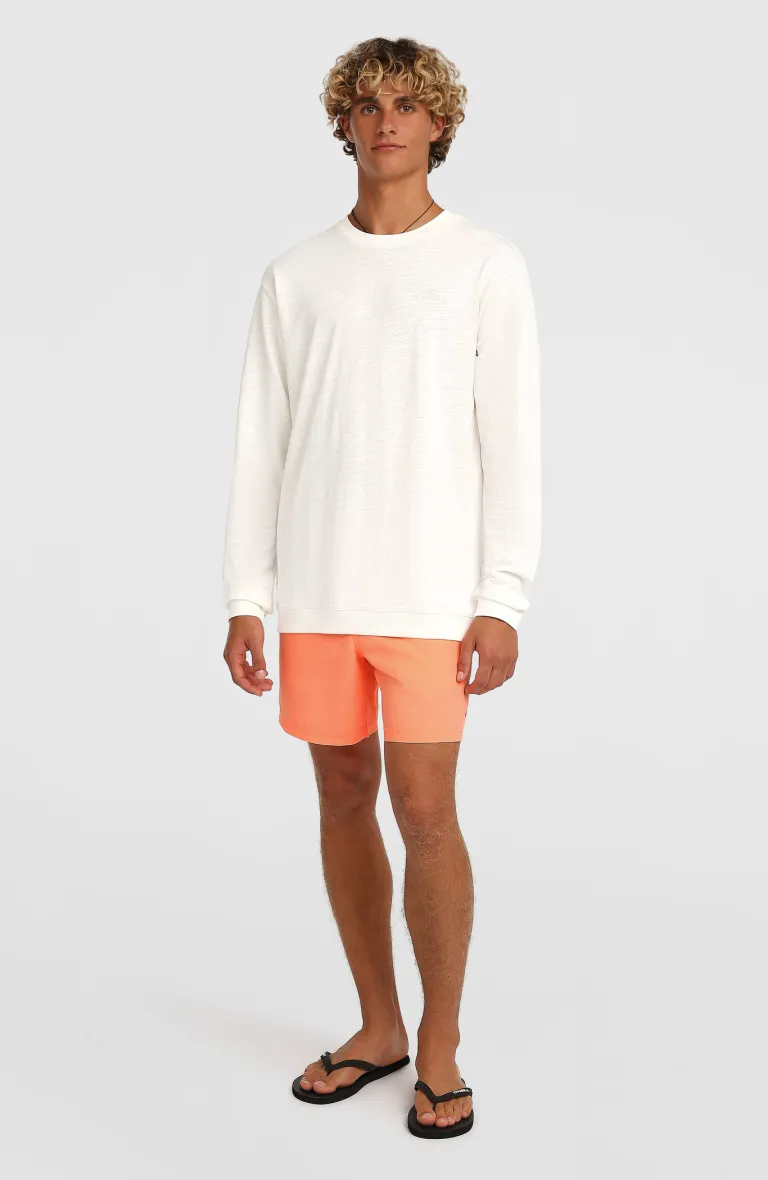 Pánske plavky Vert 16