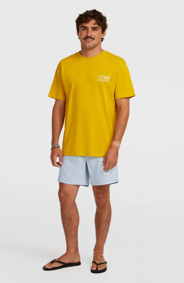 Pánske plavky CALI 16