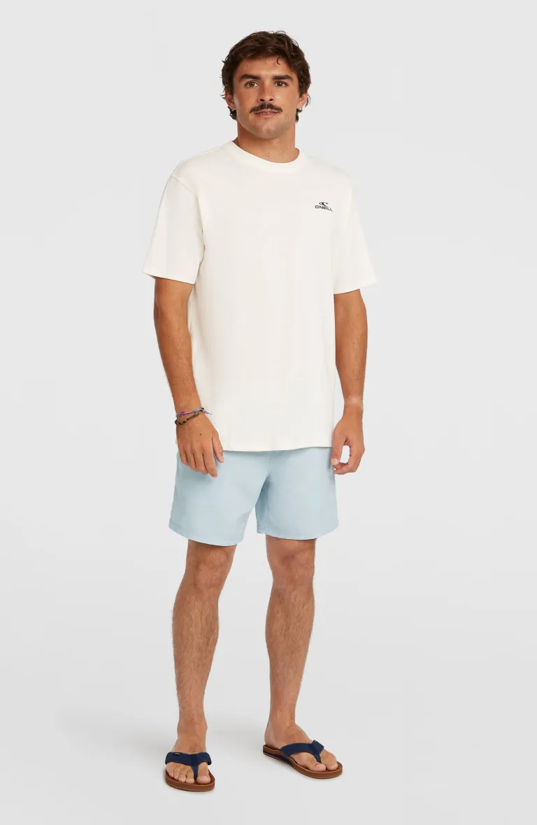 Pánske tričko Small Logo