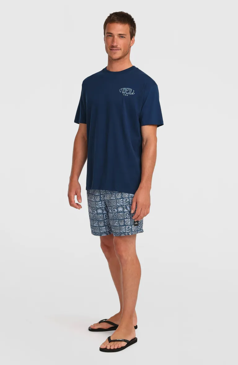 Pánske plavky Print 16